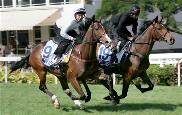 Lot 9